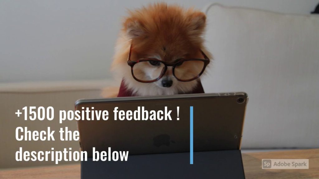 Best article rewriting service (+2100 POSITIVE FEEDBACK)