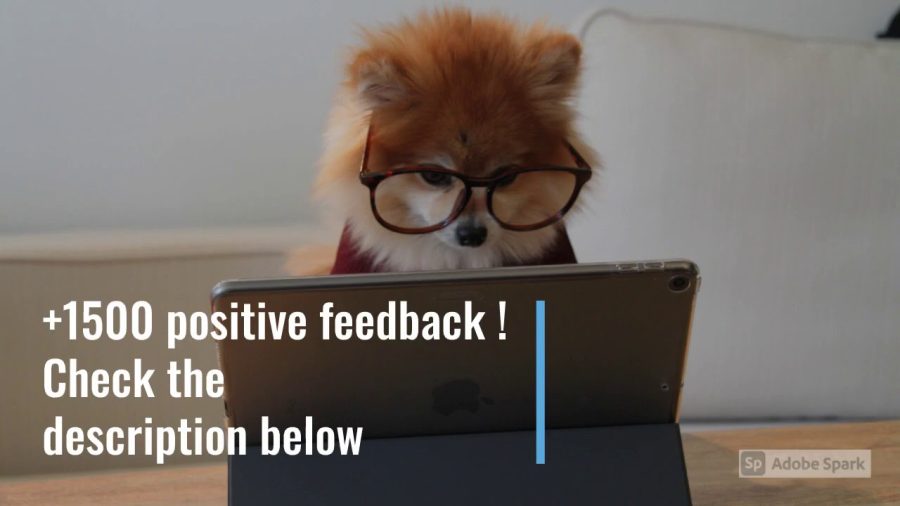 Best article rewriting service (+2100 POSITIVE FEEDBACK)