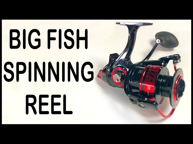 A Spinning Reel for Big Fish #shorts